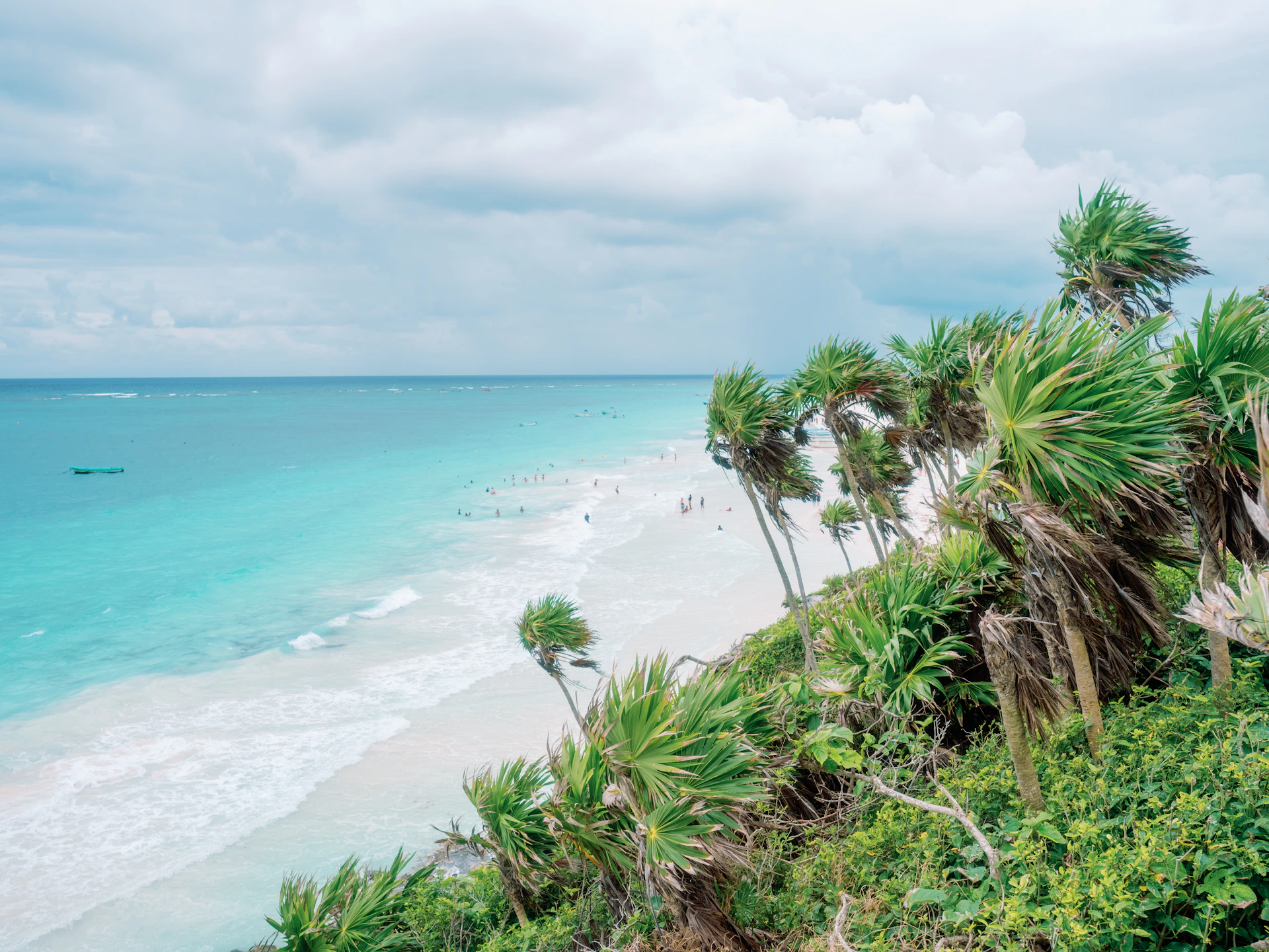Palmeras junto a una playa de arena blanca y mar turquesa